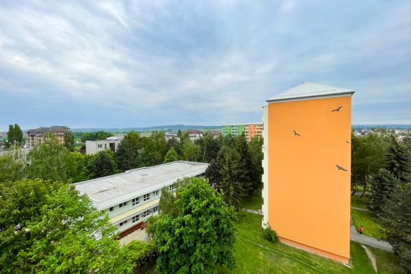 IMG 2113   Kopie