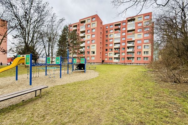 IMG 3049