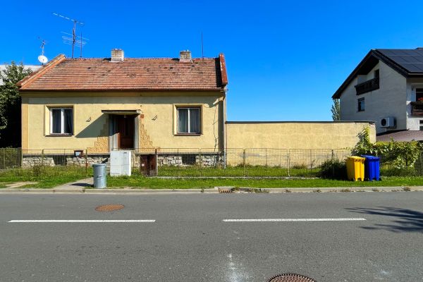 IMG 7300
