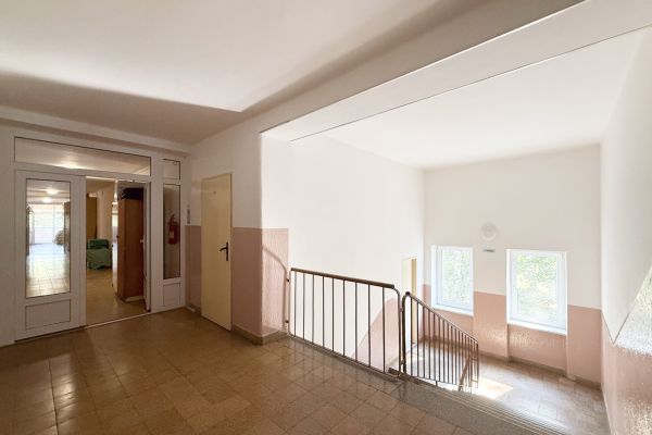 IMG 7695 (1)