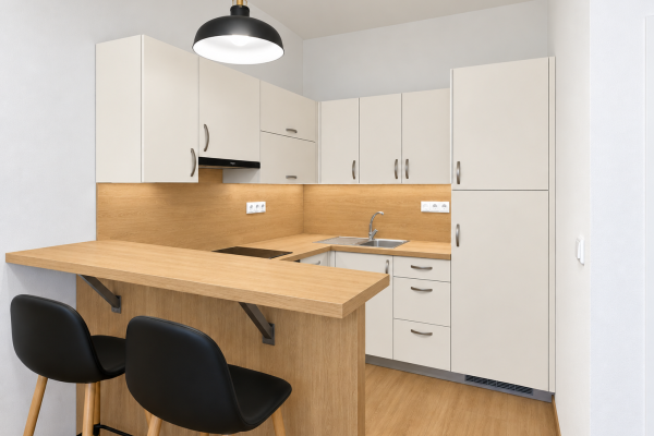 Minimalist Skandinávská Kuchyně S Barem