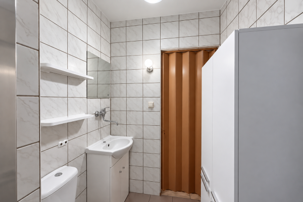 Moderní Minimalistická Koupelna S Dřevěnými Dveřmi