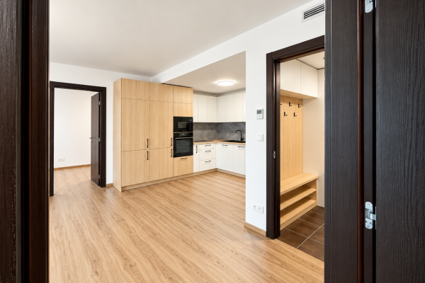 Moderní Minimalistický Byt S Dřevěnou Kuchyní