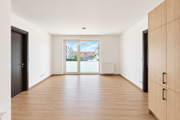 Moderní Prázdný Obývací Pokoj S Balkonem (1)