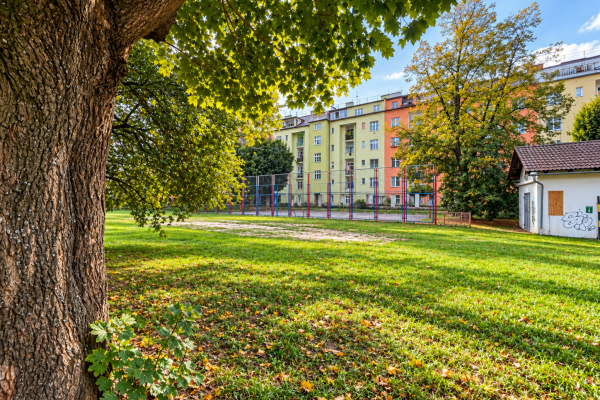 Podzimní Park S Oploceným Hřištěm (1)