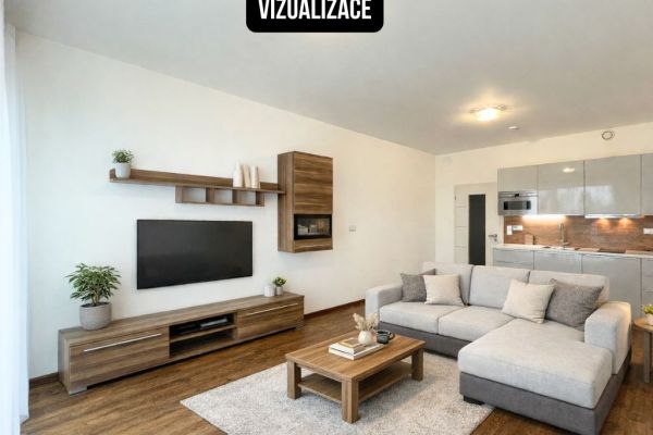 Rokycanova Vizualizace