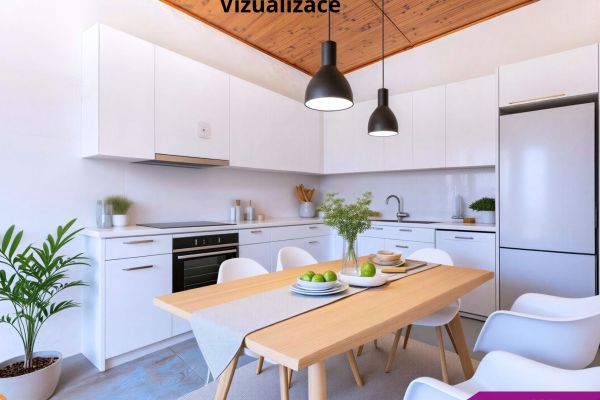 Vizualizace Přemyslovice