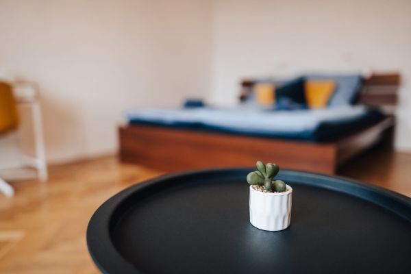 WhatsApp Image 2026 02 15 At 13.20.01 (4)